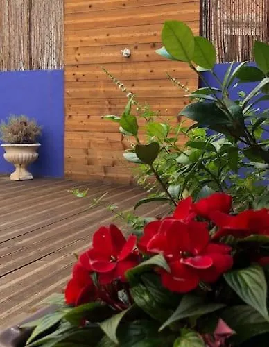 Appartement Charming Terrace Flat Center And Trendy Location *