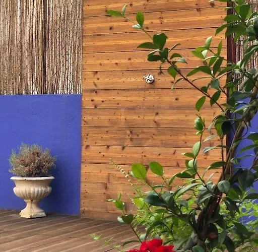 Charming Terrace Flat Center And Trendy Location 公寓
