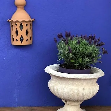 Charming Terrace Flat Center And Trendy Location