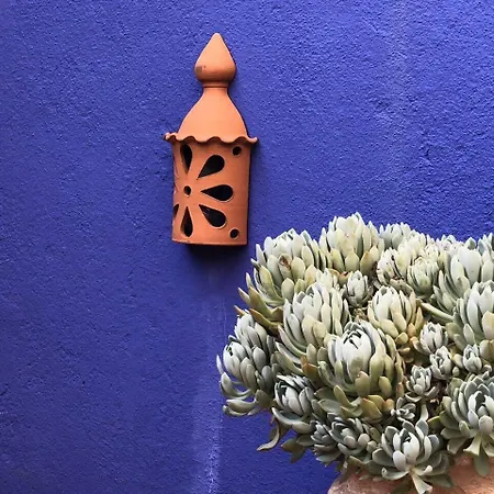 Charming Terrace Flat. & Trendy Location. * Lizbona