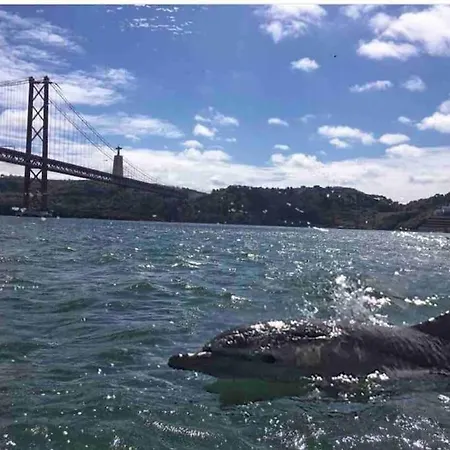 Charming Terrace Flat Center And Trendy Location Appartement *