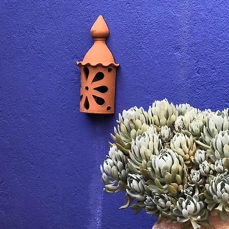 Appartement Charming Terrace Flat Center And Trendy Location