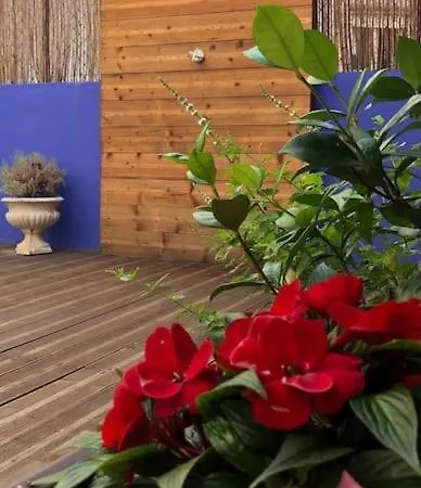 아파트 Charming Terrace Flat Center And Trendy Location *